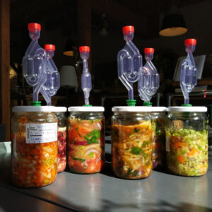 kimchi potten fermenteren